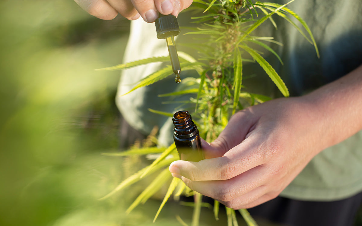 Natürlich ins Gleichgewicht: Die Welt der Cannabinoide entdecken