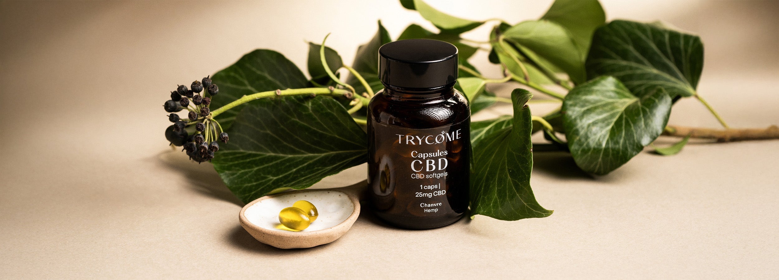 CBD Kapseln
