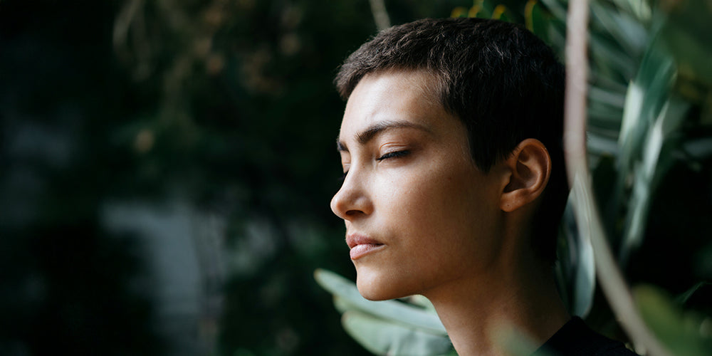 Leafpower Kategorie Anwendungen